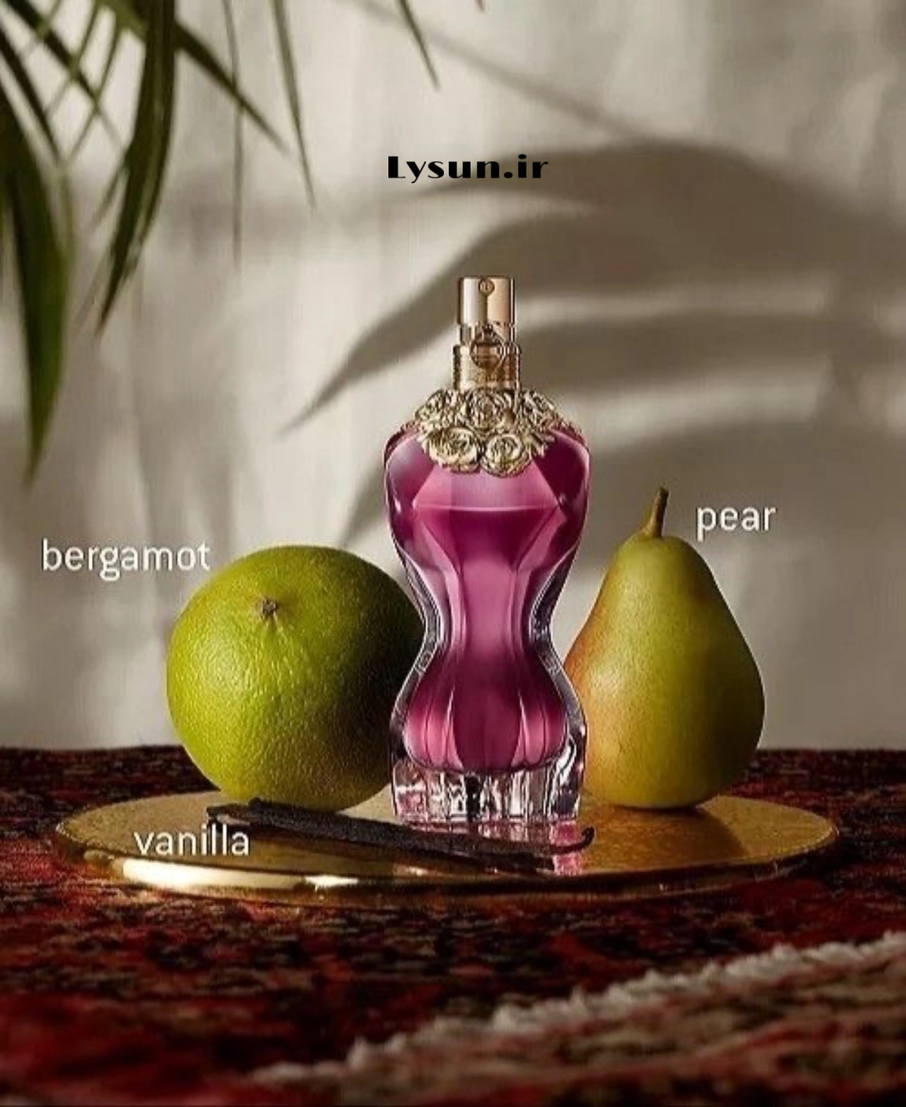 جین پاول لا بل کد ۷۸۶